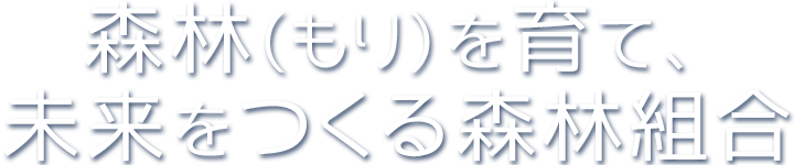 森林（もり）を育て、未来をつくる森林組合